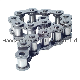  Transmission Conveyor Motorcycle/Timing /Bicycle Link Chain Roller Chain /Hollow Chain/ Industrial Steel Pintle Chain