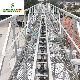  Corn Wheat Grain Silo Used Drag Chain Conveyor Chain Scraper Drag Conveyor for Sale