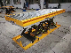  High Quality Lifting Material Handling Mobile Scissor Platform Roller Conveyor Lift Table