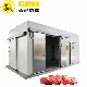  Good Quality Commercial Fish Chicken Cold Room Blast Freezer Cold Room
