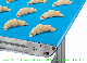  PU Conveyor Belt by Calander for Food Industry Meat and Poultry, Vegetable, Fruit, Fish