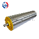 Dm165 AC Motor Oil-Immersed Belt Conveyor Roller for Airport Baggage Belt Conveyor