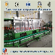 ISO Fully Automatic Mixing Weighing Conveying System/Automatic Batch Weighing and Mixing System manufacturer
