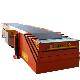 New Bag Loading Conveyor Carton Loading Conveyor