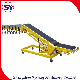 50kg Carton Box Motorised Loading Unloading Roller Conveyor for Vehicle Van