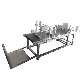 Carton Feeder Conveyor with Inkjet Printer Bracket