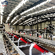  Professional Customization Direct Sales All Kind Nylon Chevrolet Conveyor Belt Supplies Metal Detector for Conveyor Belt