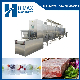 Industrial Fruit Vegetable Conveyor Belt Microwave Vacuum Dryer Machine Price manufacturer