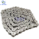 Standard SS304 SS316 Stainless Steel Roller Chain