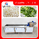  Ozone Washer Vegetable Ultrasonic Washing Machine with Conveyor Belt Ts-X300