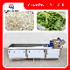 Ozone Washer Vegetable Ultrasonic Washing Machine with Conveyor Belt Ts-X300