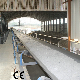 Best Price Gold Mining Conveyor Belt System for Sale Mobile Belt Conveyor manufacturer