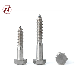  DIN 571 Stainless Steel Hex Head Wood Coach Screws