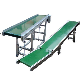 Custom Industrial Systems Assembly Line Green PVC Rubber PU Food Flat Belt Conveyor