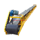 Flour Feed Bagged Material Horizontal Belt Conveyor