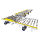  Roller Chain Conveyor