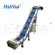 Hairise Food Grade Inclined Modular Belt Conveyor