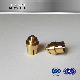 (JY084) Custom Brass Connector, Copper CNC Machined Nut, Brass Bush, Copper Stud