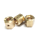 Custom CNC Turning Brass CNC Hex Nut