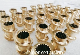 Aluminium Bronze Strong Feeding Sk Extruder Segments