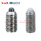  Wholesale Stainless Steel Grub Screw with Ball Bearing Insert Manufacturer