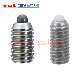 Wholesale Stainless Steel Grub Screw with Ball Bearing Insert Manufacturer