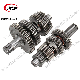 High Quality Motorcycle Parts C100 C110 Main Counter Shaft Assembly Transmission Gear