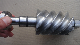  Custom Auto Parts Steel Worm Shaft for Machinery