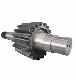 Custom Transmission Gear Shaft Input Shaft Spindle manufacturer