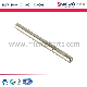 ISO Certified Customized Micro Stainless Steel Precision Shaft for Household Meat Grinders