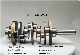 Professional Manufacturer of V9X Auto Parts Crankshaft for Nissan