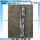 ISO Factory Non-Standard Precision Machining Pump Shaft in Stainless Steel CD4/316ss