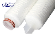  OEM/ODM PP Pleated Micron Filter Cartridge for Liquid Gas Beverage Microelectronics Industry Water Filtration with Soe 222 Double O-Rings Bayonet Spear/Fin