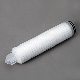 0.2 Micron Hydrophilic PTFE Pleated Cartridge Filter for Beverage Filtration