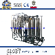 Pure Water Treatment Equipment Plant