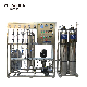  EDI System RO Stainless Steel EDI RO Water Pure Equipment