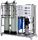 Stainless Steel 304/316L Water Purifying Machine