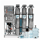 Wholesale Reverse Osmosis EDI Deionizing Pure Water Systems Laboratory Deionizers/Devices/Equipment