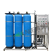 Chunke 0.5t/H Flow RO System Water Treatment Equitment Chemical Well