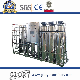  500L/H Two Stages RO Super Pure Water Treatment