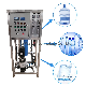 250lph Mineral Water Filtration Treatment Machine Reverse Osmosis System RO Drinking Plant Commercial Pure Water Purification System manufacturer