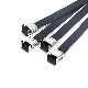  Cable Tie Stainless Steel with PVC Coating Ss201 SS304, SS316 Clamp
