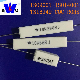 Power Electronics Component Rx27 Ceramic Encased Wirewound Cement Power Resistors 2W-100W manufacturer