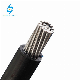  0.6/1kv Single Core 2 Core 3 Core 4 Core Multi Core Overhead Cable Aluminum Conductor PVC Insulation UV Resistance Insulation