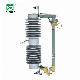 Outdoor Expulsion Drop-out Type Distribution Fuse Cutout Series 33-36kv