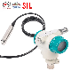 Armoured Hydrostatic Pool Water Level Transmitter Analog Water Treatment Pressure Level Sensor