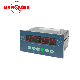  Analog Electronic Weighing Control Indicator for Industrial Control Fields