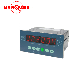  Analog Electronic Weighing Control Indicator for Industrial Control Fields