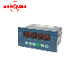 Analog Electronic Weighing Control Indicator for Industrial Control Fields