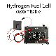 500W Hydrogen Fuel Cell System Small Power Stack
